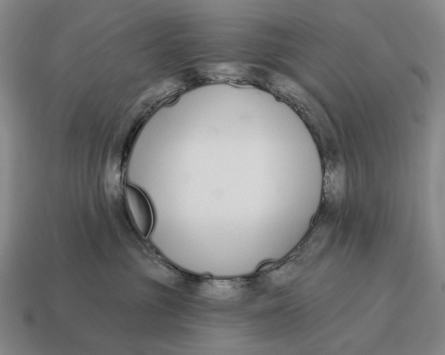 X0000115110381200911101611
