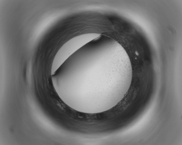 X0000115110382200911101611