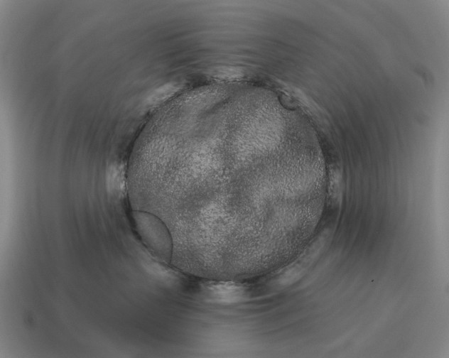 X0000115110383200911101611