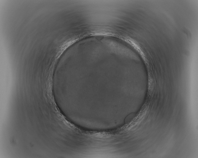 X0000115110385200911101610