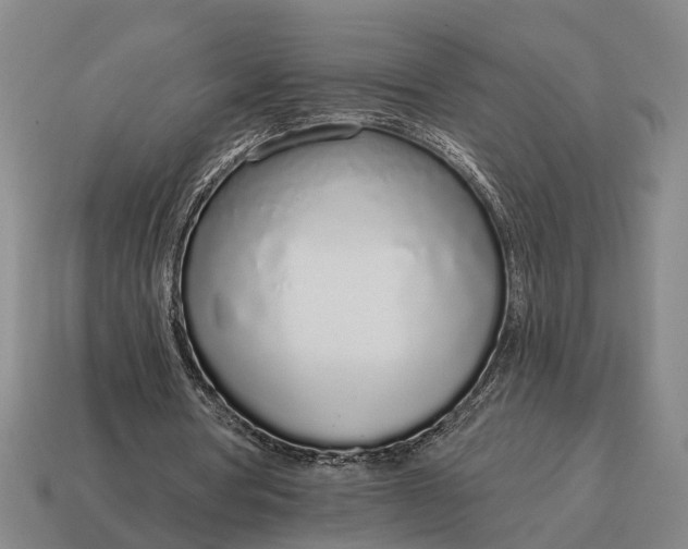 X0000115110386200911101610
