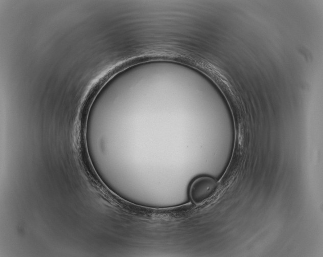 X0000115110388200911101610
