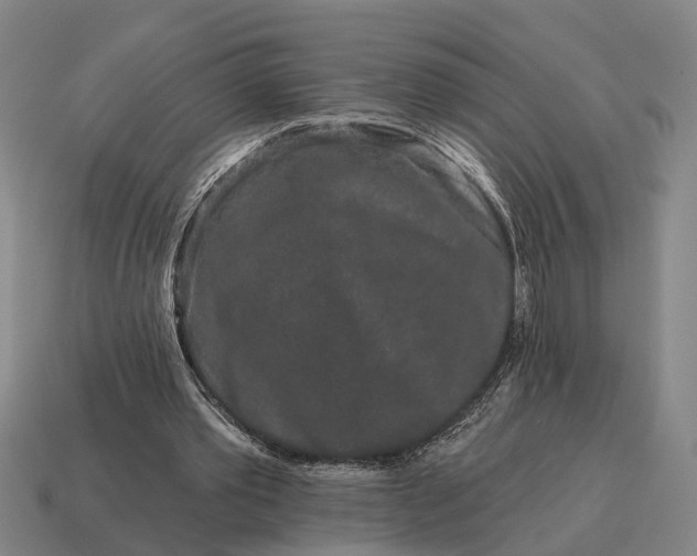 X0000115110389200911101610
