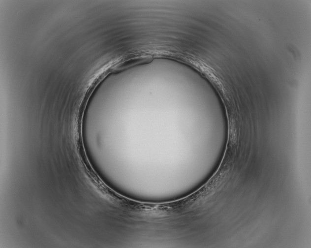 X0000115110390200911101610