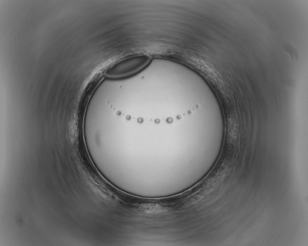 X0000115110392200911101610