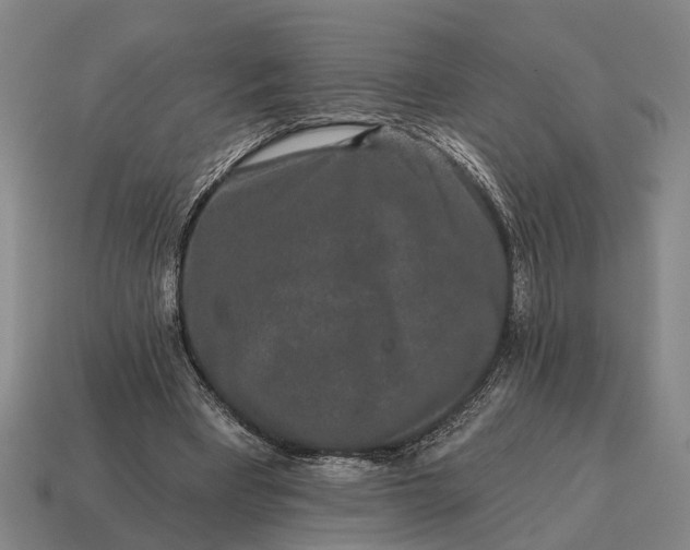 X0000115110393200911101610
