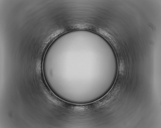 X0000115110394200911101610