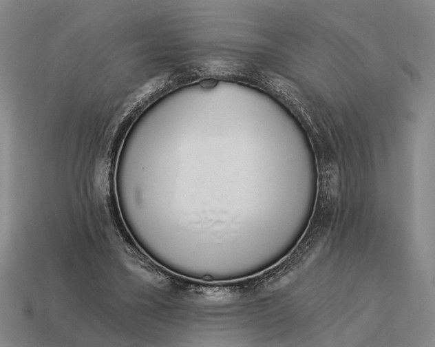 X0000115110395200911101610