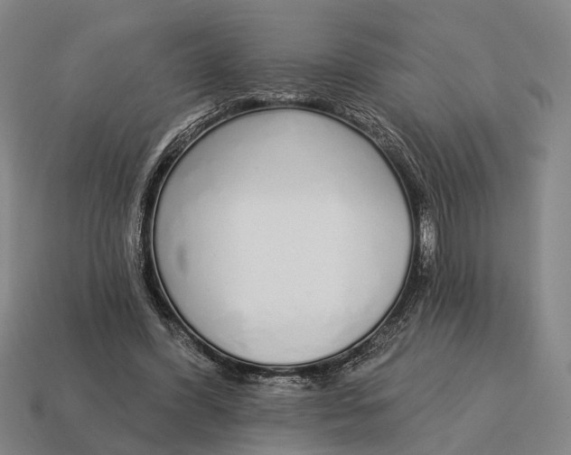 X0000115110396200911101610