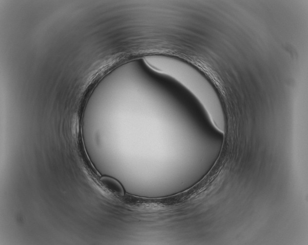 X0000115110397200911101610