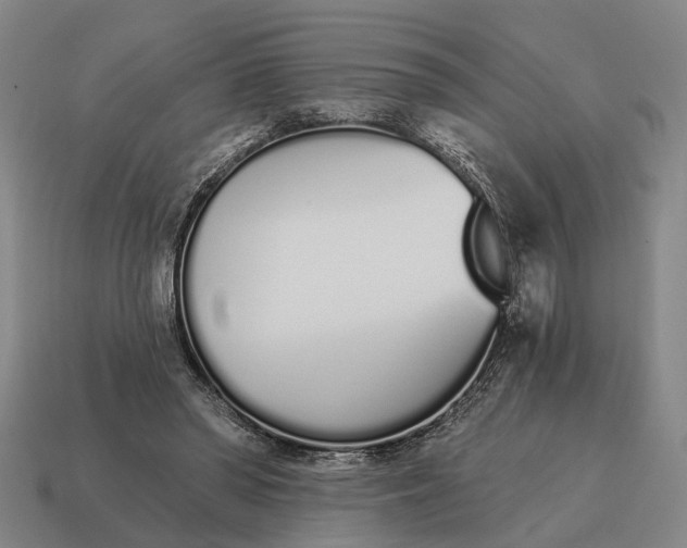 X0000115110398200911101610