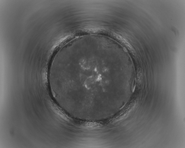 X0000115110399200911101610