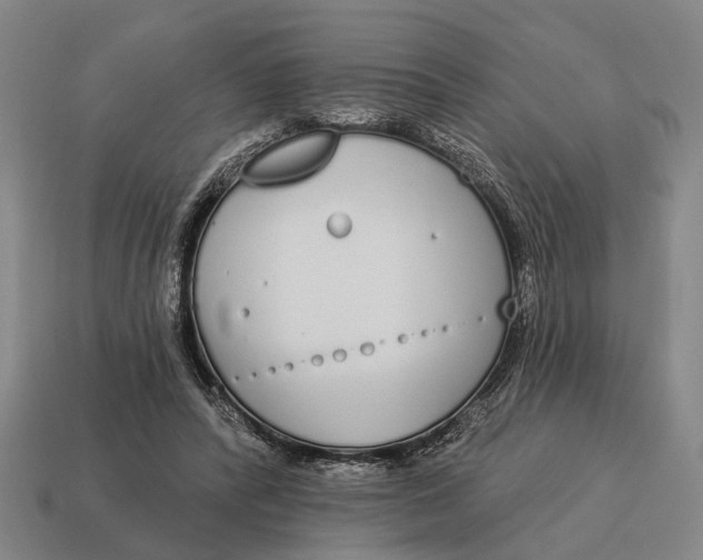 X0000115110400200911101610