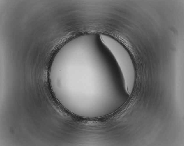 X0000115110401200911101610