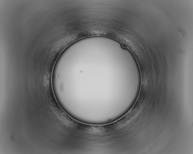 X0000115110402200911101610
