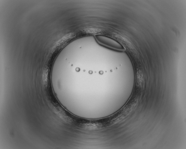 X0000115110404200911101610