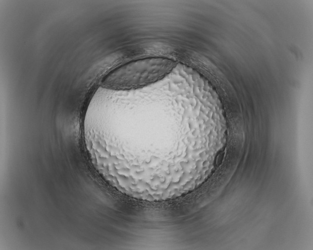 X0000115110405200911101610