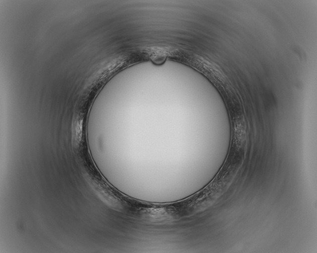 X0000115110406200911101610