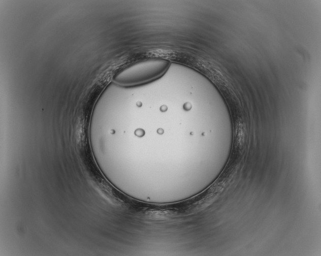 X0000115110408200911101610
