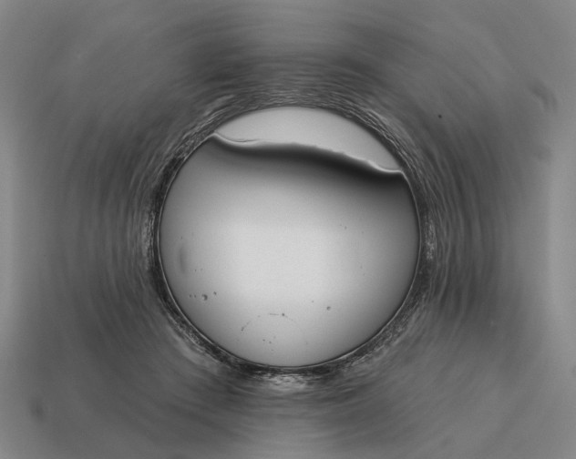 X0000115110409200911101610