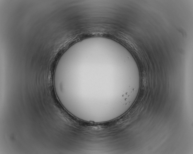 X0000115110411200911101610