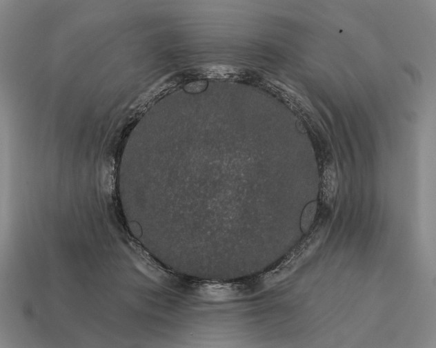 X0000115110413200911101610