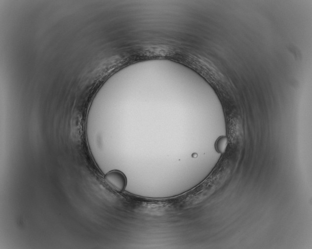 X0000115110414200911101610