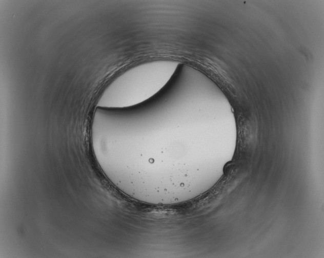 X0000115110415200911101610