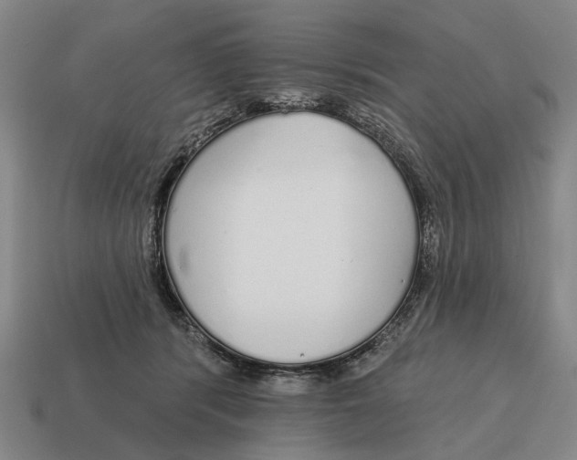 X0000115110416200911101610