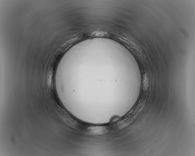 X0000115110417200911101610