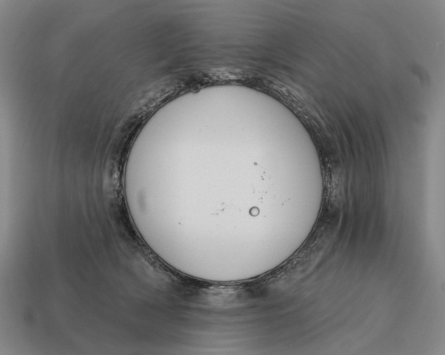 X0000115110418200911101610