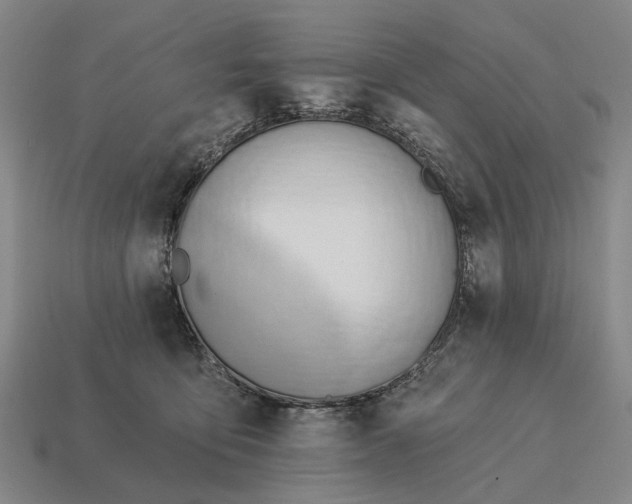 X0000115110419200911101610