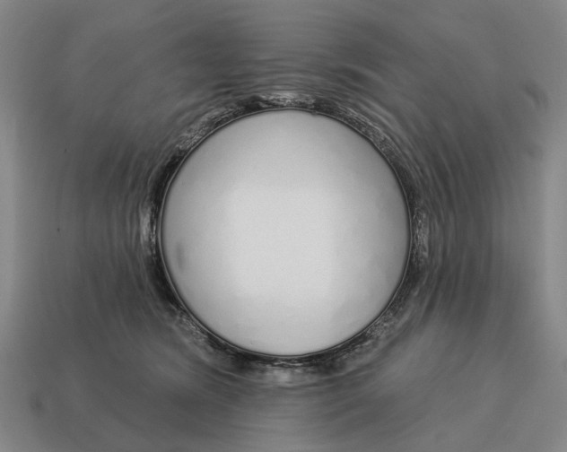 X0000115110420200911101610