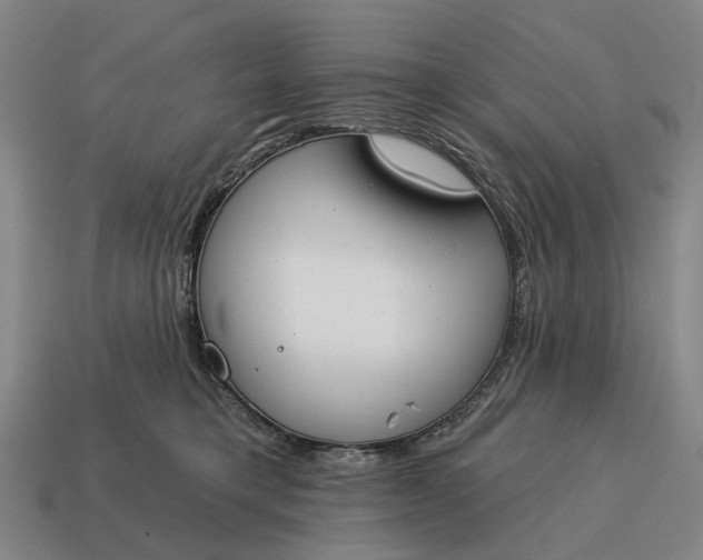 X0000115110421200911101610