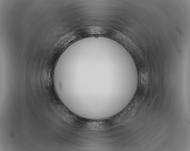 X0000115110422200911101610