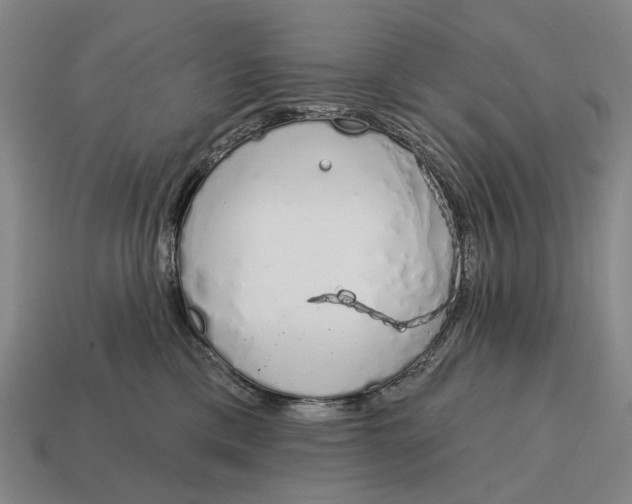 X0000115110425200911101610