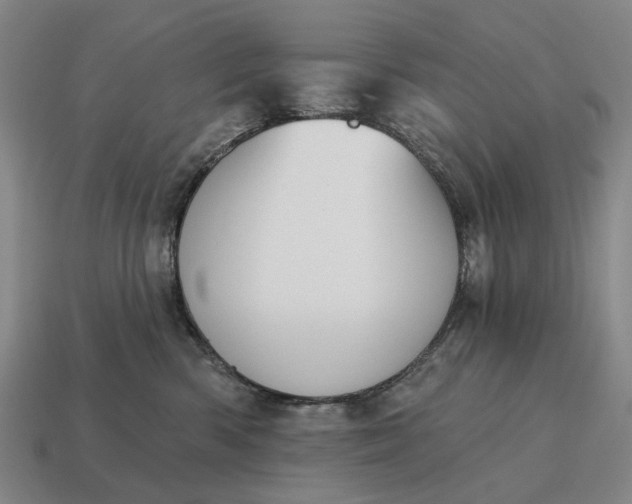 X0000115110426200911101610