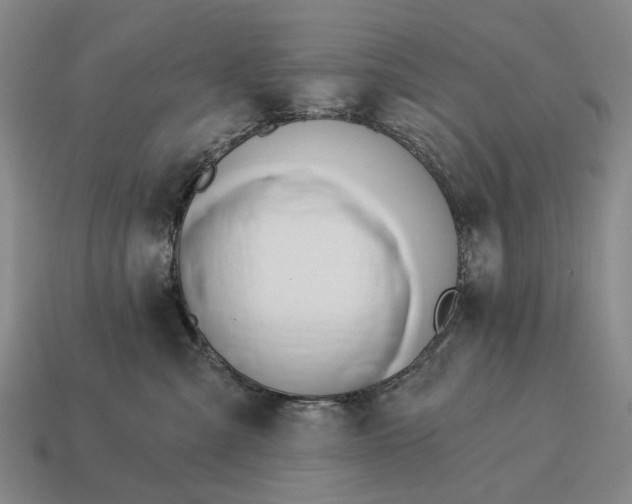 X0000115110427200911101610