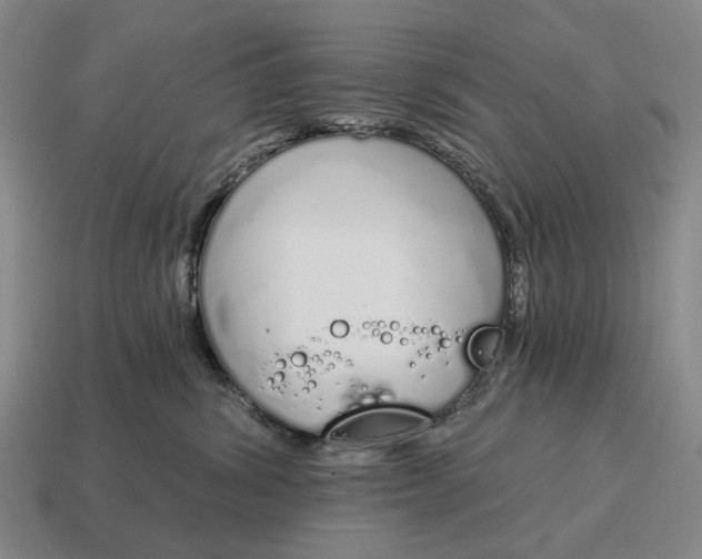X0000115110428200911101610