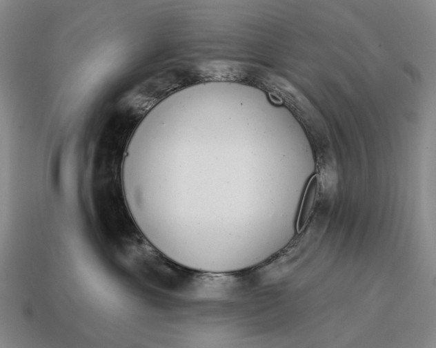 X0000115110429200911101610