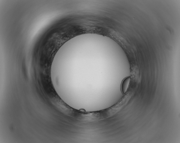 X0000115110430200911101610