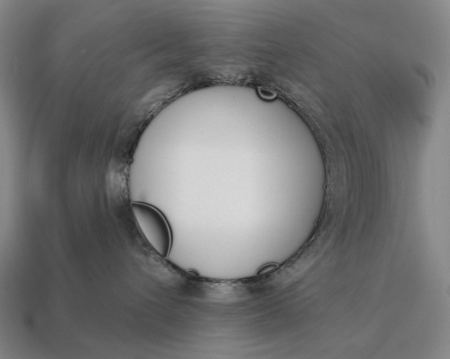 X0000115110432200911101610