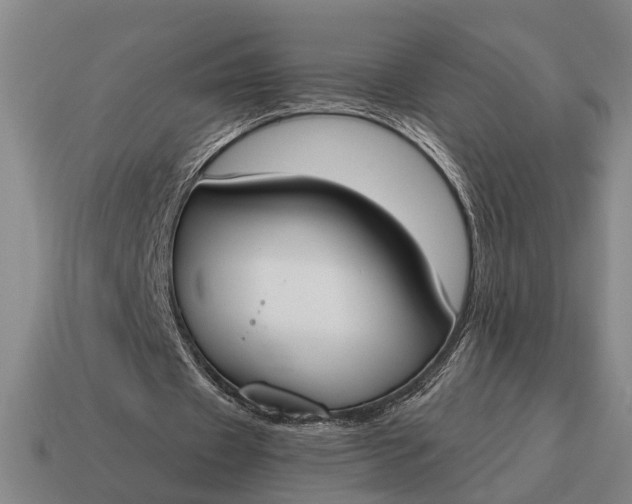 X0000115110433200911101609
