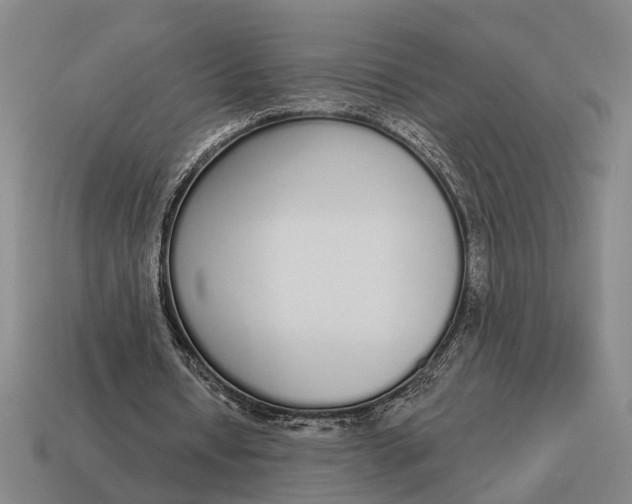 X0000115110434200911101609