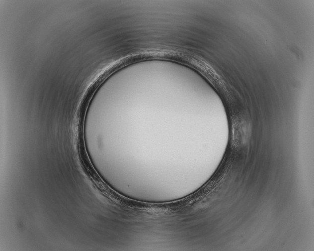 X0000115110436200911101609