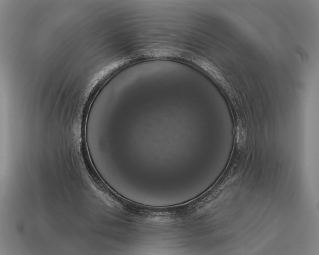 X0000115110438200911101609