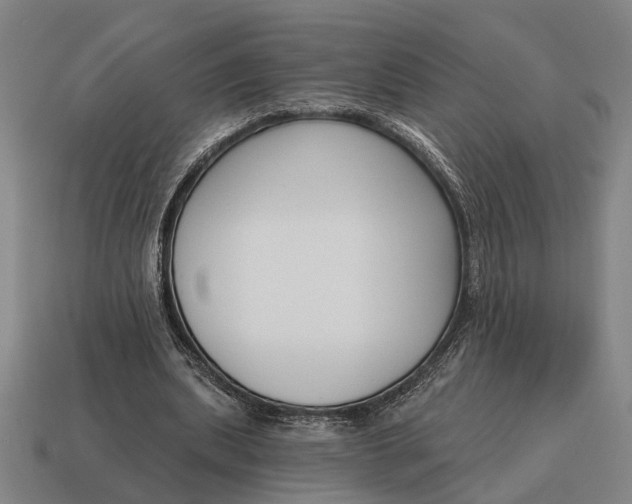 X0000115110439200911101609