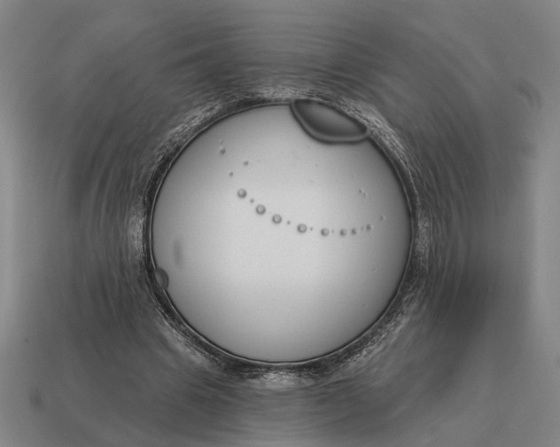 X0000115110441200911101609