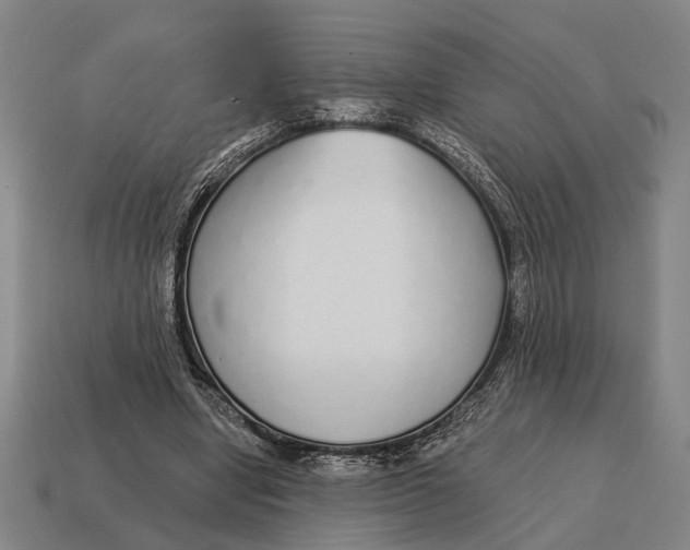 X0000115110442200911101609