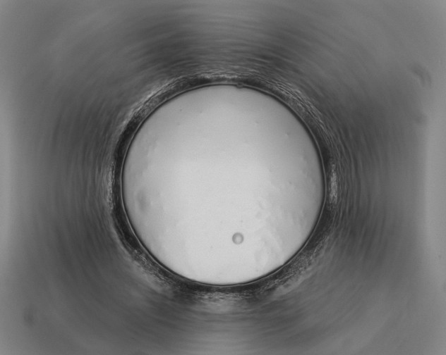 X0000115110444200911101609
